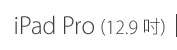 iPad Pro (12.9吋)