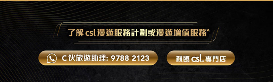 了解數據漫遊日數通行證每月計劃