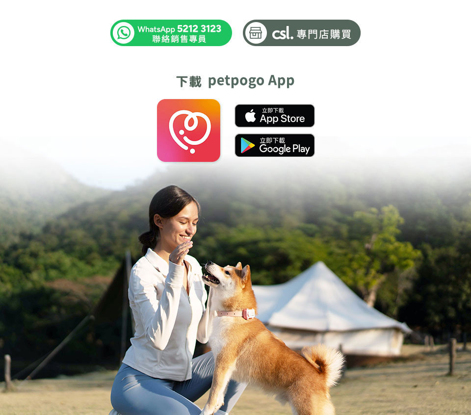 WhatsApp 5212 3123 聯絡銷售專員 | csl 專門店購買 | 下載 petpogo App