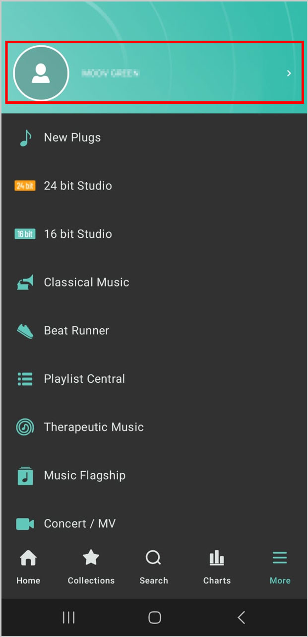 1. Click “My Account” in the right bottom “More”