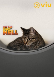 My Cat From Hell S9 My Cat From Hell S9
