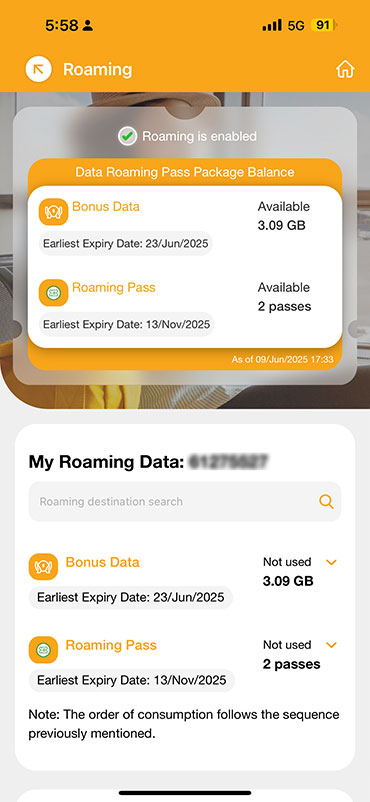 Purchase Roaming Pass package in advance