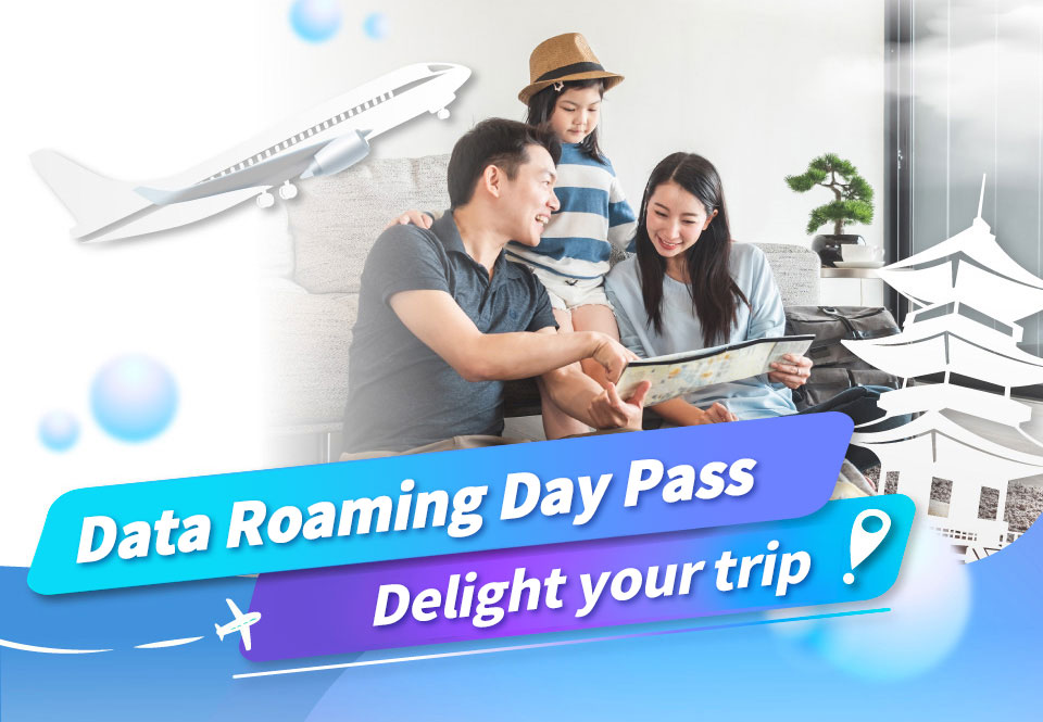 Data Roaming Day Pass