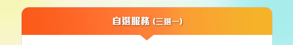 自選服務 (三選一)