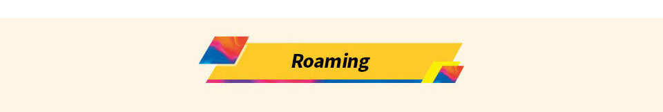 Roaming