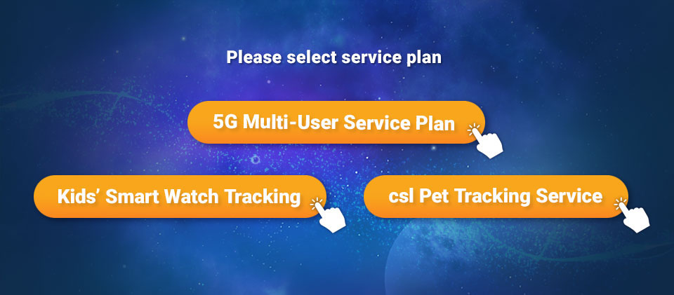 Family Service Plans